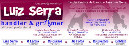 Luiz Serra